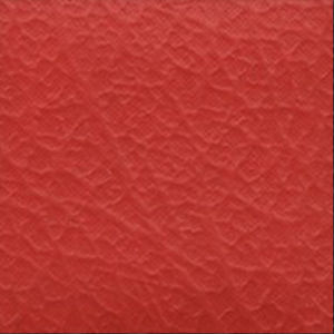 Kursi Makan Dining Chair Kursi Restoran - Seahorse DIVINE Stainless Minimalis Ergonomis