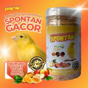 CEDE PAKAN KENARI SPONTAN LANGSUNG GACOR