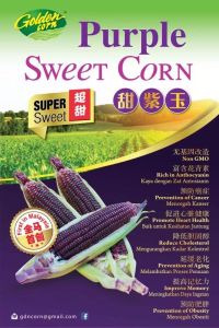 Fresh Sweet Corn. Halal. Local Product of Malaysia. 0% preservative/additives. Low carbs high fiber Healthy Snacks for children and adults - Golden / Purple Premium Sweet Corn 1PCS