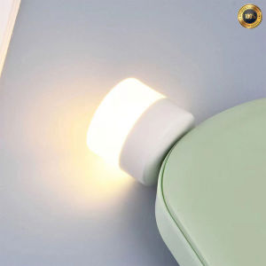 Night Light Bedroom Bedside Corridor Toilet Emergency Night Light USB Light Warm Lamp
