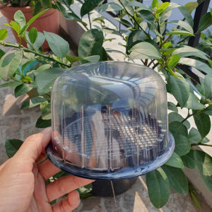 Set 100 Hộp Bầu H15 - Hộp Đế Đen Nắp Trong - Đựng bánh bông lan Xôi Chữ Phúc thôi nôi..