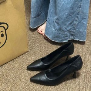 Free Shipping New Spring And Autumn Collection: Comfortable Pointed-Toe High Heels For Women Perfect For Interviews And Easy To Match With Any Outfit