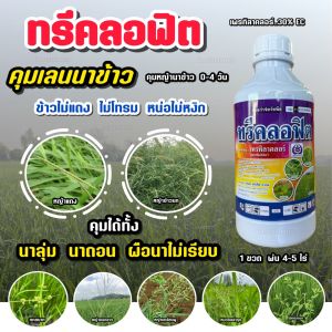 เพรทิลาคลอร์ ทรีคลอฟิต ตัวเดียวกับ โซฟิต คุมเลน คุมเลนในนาข้าว คุมหญ้า ยาคุมหญ้าในนาข้าว ฉีดได้ นาลุ่ม นานดอน นาไม่เรียบ
