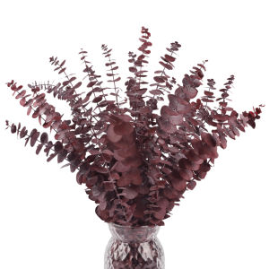 10pcs Natural Dried Eucalyptus Leaves Home Vase Filler Decor Dried Plants Wedding Party Supplies