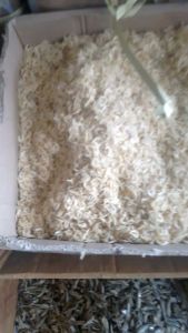 UDANG HALUS/Ebi Khas MEDAN UK 250 Gram