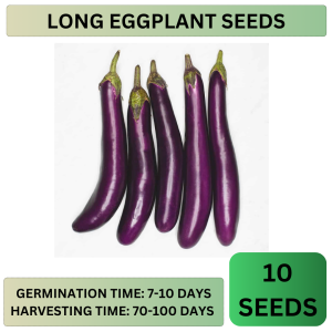 HIGH QUALITY VEGETABLE SEEDS! (Pechay Tomato Talong Sitaw Ampalaya Kalabasa Carrot Sigarilyas Bell Sili Upo)