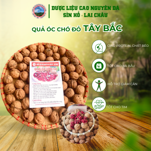 Quả óc chó đỏ Tây Bắc Lai Châu bổ sung dinh dưỡng tốt cho mẹ bầu có loại nguyên vỏ và tách sẵn (250g-1kg)