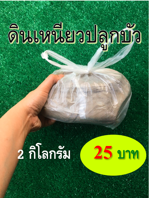 ดินเหนียวปลูกบัวเนื้อละเอียดพิเศษ ไม่มีสิ่งสกปรก