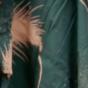 ONE SET WAKA WAKA MOTIF BULU KEKINIAN 2021 SETELAN PANJANG LENGAN PANJANG BAHAN RAYON PREMIUM ADEM KUALITAS TERJAMIN TERBAIK DISYA FASHION