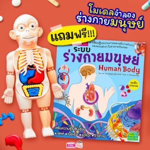 หนังสือระบบร่างกายมนุษย์ +โมเดลร่างกายมนุษย์ 👀ซื้อ 1 แถม 2 แถมฟรีหนังสือ+การ์ด!! 💪โมเดลอวัยวะ🦵ของเล่นแนววิทยาศาสตร์ 🧠Human Body