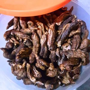 Teripang Laut Kering Tinggi Serat Kemasan 250gr