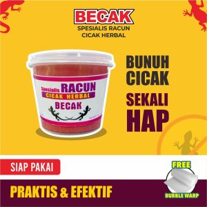 Racun Cicak BECAK Sekali Hap Cicak Tewas