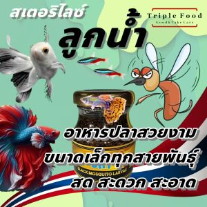 อาหารปลา ลูกน้ำ UHT Fish Food อาหารปลากัด ปลาหางนกยูง ปลาบอลลูน ปลาสวยงาม ปลานีออน ลูกน้ำสด ลูกน้ำปลากัด ยังมี อาร์ทีเมีย ไรแดง ลูกน้ำ ไข่ไรนางฟ้า ไรนางฟ้า ด่างทับทิม ใบหูกวาง