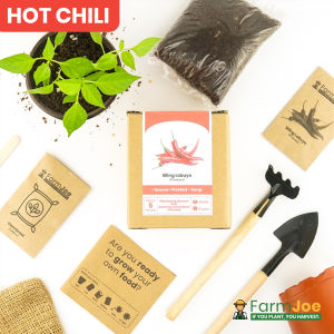 SILING PULA | Grow Kit | Plant Kit | Seedling Kit | Seed Starter Kit | FarmJoe