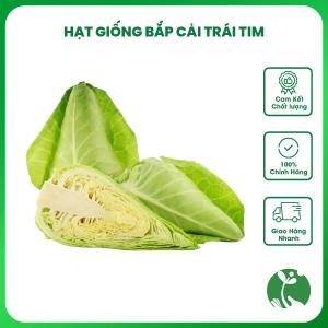 Hạt giống Bắp cải Trái tim gói 1gr khoảng 300 hạt hàng Trung