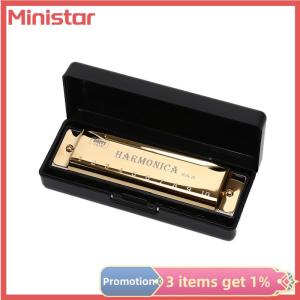 10 Hole Harmonica Mouth Organ Puzzle Musical Instrument Beginner Teaching