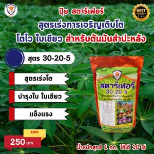 มันสำปะหลัง โตไว ใบเขียว เร่งราก เร่งแป้ง ขยายขนาด หัวใหญ่ หัวดก เพิ่มน้ำหนัก เพิ่มคุณภาพ ผลผลิต ด้วย ปุ๋ย สตาร์เฟอร์