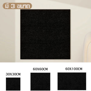 Everything แผ่นลับเล็บแมว พรมลับเล็บ ช่วยลดความกังวลของสัตว์เลี้ยงได้ สามารถต่อเป็นหลายชิ้นได้ ใช้ติดได้หลายพื้นที่ 30x30/60x60/60x100