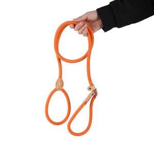 Pet Harness and Leash Large Size for Dogs for Home Care and Daily Use Suitable for Storage Cleaning or Routine Setup for Indoor Outdoor and Travel Use pet leash pet harness harness