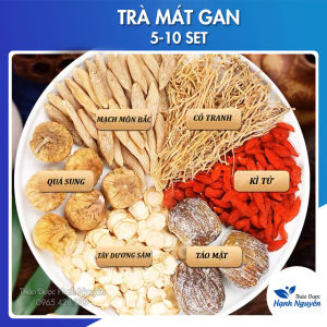 5- 10 set Trà sâm mát gan giảm ho bổ phế giảm biếng ăn cho bé thanh nhiệt - Thảo Dược Hạnh Nguyên