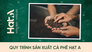 Cà phê hòa tan capuchino sữa dừa 4 In 1 Hạt A Cafe hộp 216g/ 12 Gói - sử dụng cà phê rang xay nguyên chất cốt dừa tự nhiên vị đắng nhẹ thơm lớp cappuccino dừa béo ngậy - Lazada