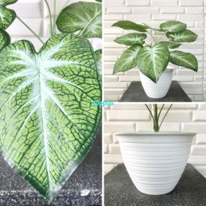Tanaman Artificial Pohon Hias Daun Sri Rejeki Hijau Tua X9 Pot Dasar & Pot Tawon Dekorasi Meja Tamu Aesthetic