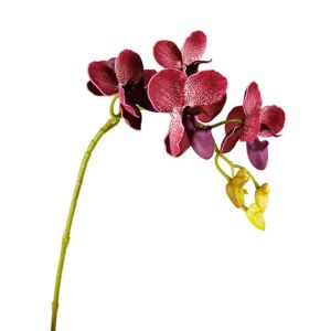 TEWUB 67cm 26.38in Artificial Butterfly Orchid Branch Plastic Real Touch EVA Orchid Flower Flower Arrangement Elegant Fake Flowers Home Office Decor