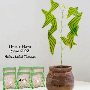 Intan Flora-Unsur Silika (GA-02)nutrisi tanaman hias seimbang premium perlite