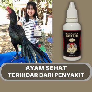 Vitamin Ayam Bangkok Juragan Botoh Biar Sehat