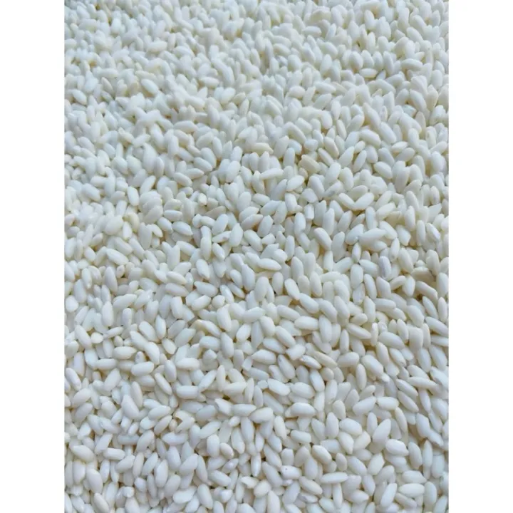 Nếp Cái Hoa Vàng ( Nếp Bắc ) túi 1 Kg - Dẻo thơm