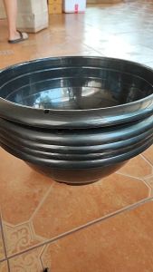 กระถางชวนชม 15.5 นิ้ว แพ็คละ 5 ใบ สินค้าพร้อมส่ง