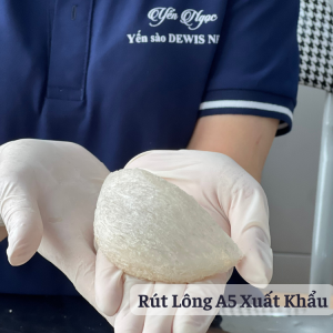 Tổ Yến A5 Xuất Khẩu DEWIS NEST Yến sạch lông Nguyên Chất Sấy Lạnh Không Đường. Hàng Cao Cấp Đặc Biệt