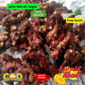 Jahe Merah 1/2kg super  asli original hasil kebun 500GRM Murah dikirim dari Bogor   Red ginger tokolaladonbgr