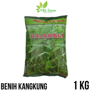 Benih Kangkung Hijau Premium Rajawali 1KG untuk Taman dan Tenda