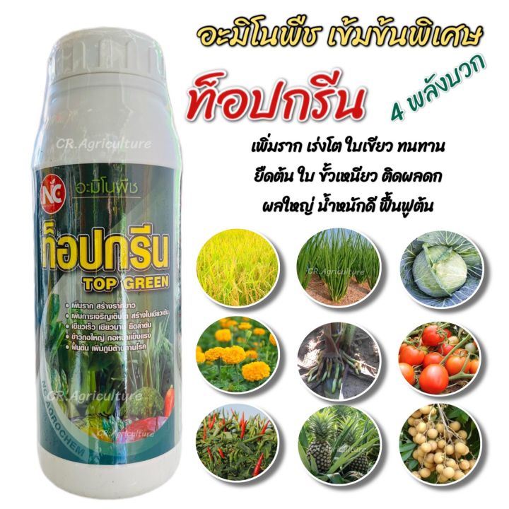 อะมิโนพืช ท็อปกรีน 4 พลังบวก ตราNC เร่งราก เร่งโต