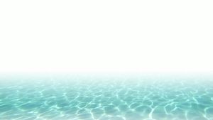 Orlushy Submersible Aquarium Heater300W Adjustable Fish Tahk Heater with 2 Suction Cups Free Suitable for Marine Saltwater and Freshwater