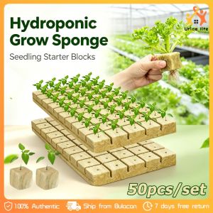 50/100PCS Rock Wool Starter Plugs Hydroponic Grow Media High Porosity Garden Planting No Soil Seedling