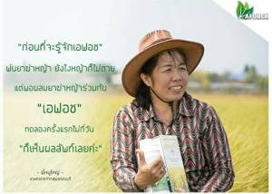 ปุ๋ยน้ำซีโฟ (1000 ซีซี) บำรุงผลใหญ่ ลูกดก เร่งดอก เร่งผล รสหวาน เพิ่มค่า CSS ขั้วเหนียว ผลไม่ร่วงง่าย ผิวสวยไม่แตก เพิ่มผลผลิต บำรุงระยะติดผล