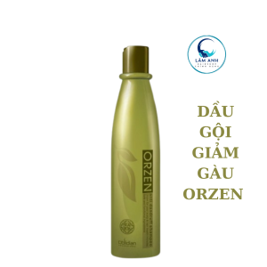Dầu Gội Orzen Anti-Dandruff Shampoo Giảm Gàu- Vảy Nến Làm Sạch Da Đầu Hiệu Quả 320Gram