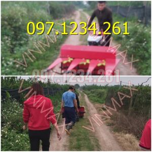 Máy cắt cỏ CB1000 giá mềm bán ở Bắc Kạn