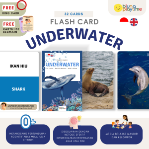 Flash Card - UNDERWATER - Media Belajar Edukasi Anak -Wipe & Clean- Free Ring & Kartu Ide Bermain