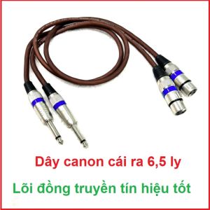 Đôi dây Canon cái ra 65 ly dài 0.8m cao cấp dùng ghép các thiết bị âm thanh