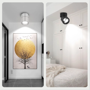 LED Downlight Spotlight Ceiling Light Foldable Downlights 3 Colors220V For Living Room Kitchen Bedroom Home Lighting