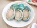 HCM - Bào ngư Úc đông lạnh - Jade Tiger Abalone 500g/1kg. 