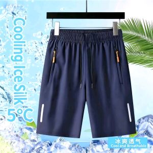 2025 New Mens Sports Casual Shorts | Ice Silk/Cotton/Smooth Cotton Quick-Dry Loose Beach Pants