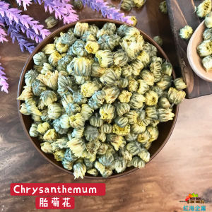 Red Sea Herbs 精选胎菊花 100g | 黄山胎菊 杭白菊 菊花 清热降火 明目护眼 花茶 Chrysanthemum Buds Flower Tea