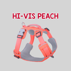 Red Dingo Sport Dog Harness | Lightweight Durable Breathable Mesh - 5 Colours & 5 Sizes (XS-XL)