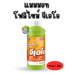 แมมมอท โฟลิไซม์ จีเอโอ ปุ๋ย ชนิดน้ำ สูตร 0-17-5 ปุ๋ย ฮอร์โมนพืช (ขั้วเหนียวแข็งแรง ลดหลุดร่วง) │เทพวัฒนา ตราปลาคู่│