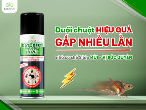 CHAI XỊT CHỐNG CHUỘT & CÔN TRÙNG RAT&PEST