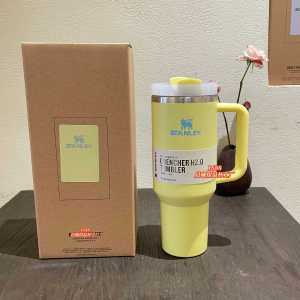 original STANLEY Solid color thermos cup 304 Stainless steel straw cup portable outdoor car sports cup